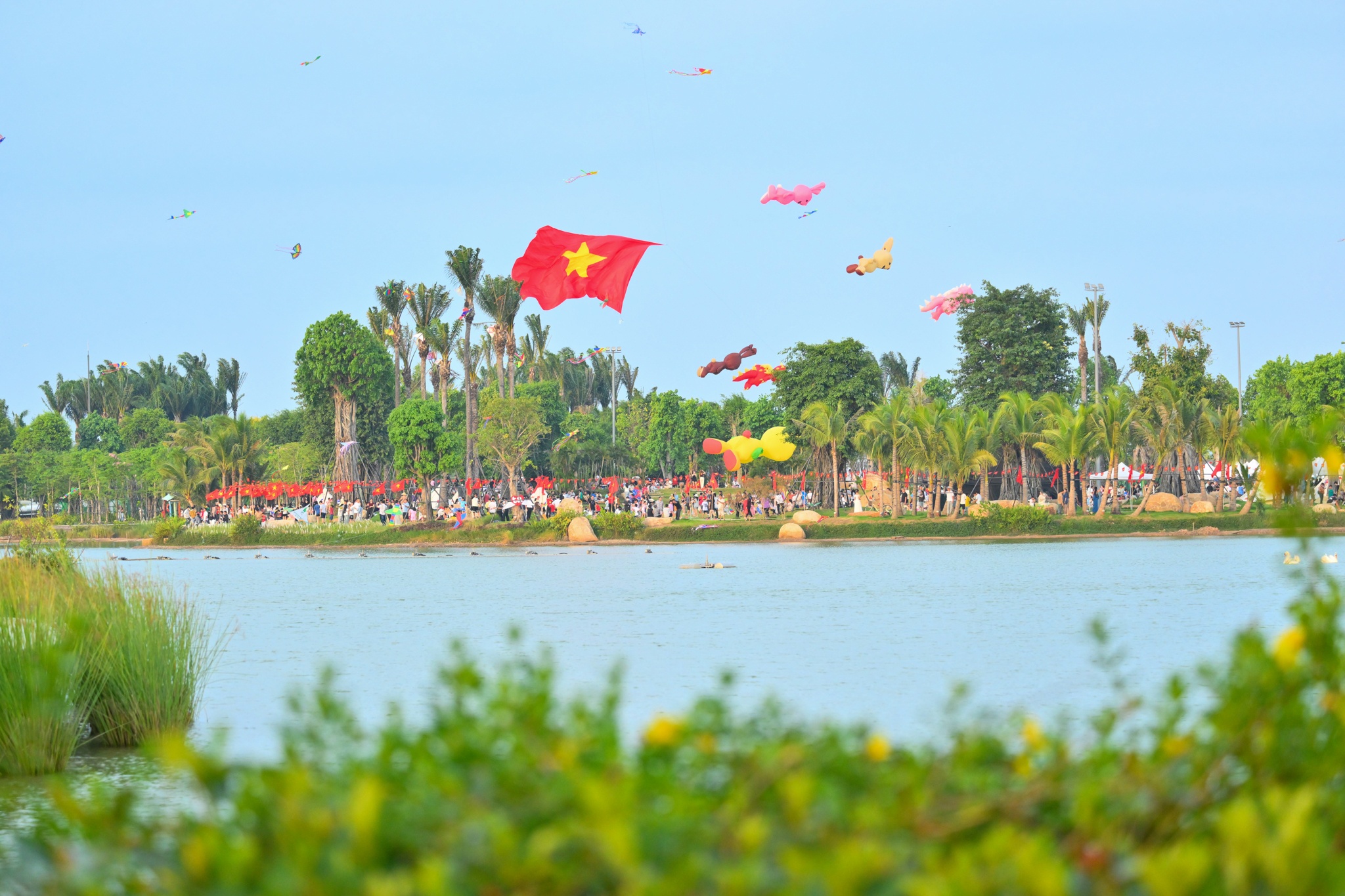 Rừng Phượng ảnh 7