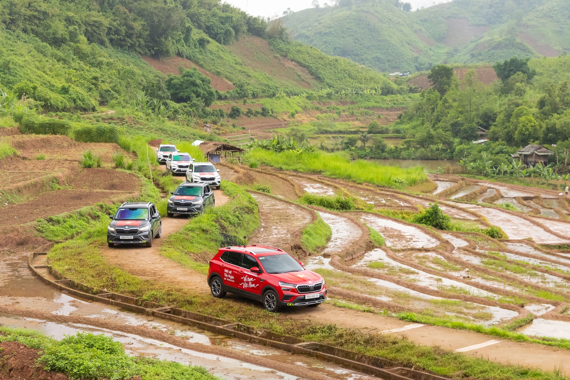 Skoda Kushaq ảnh 6