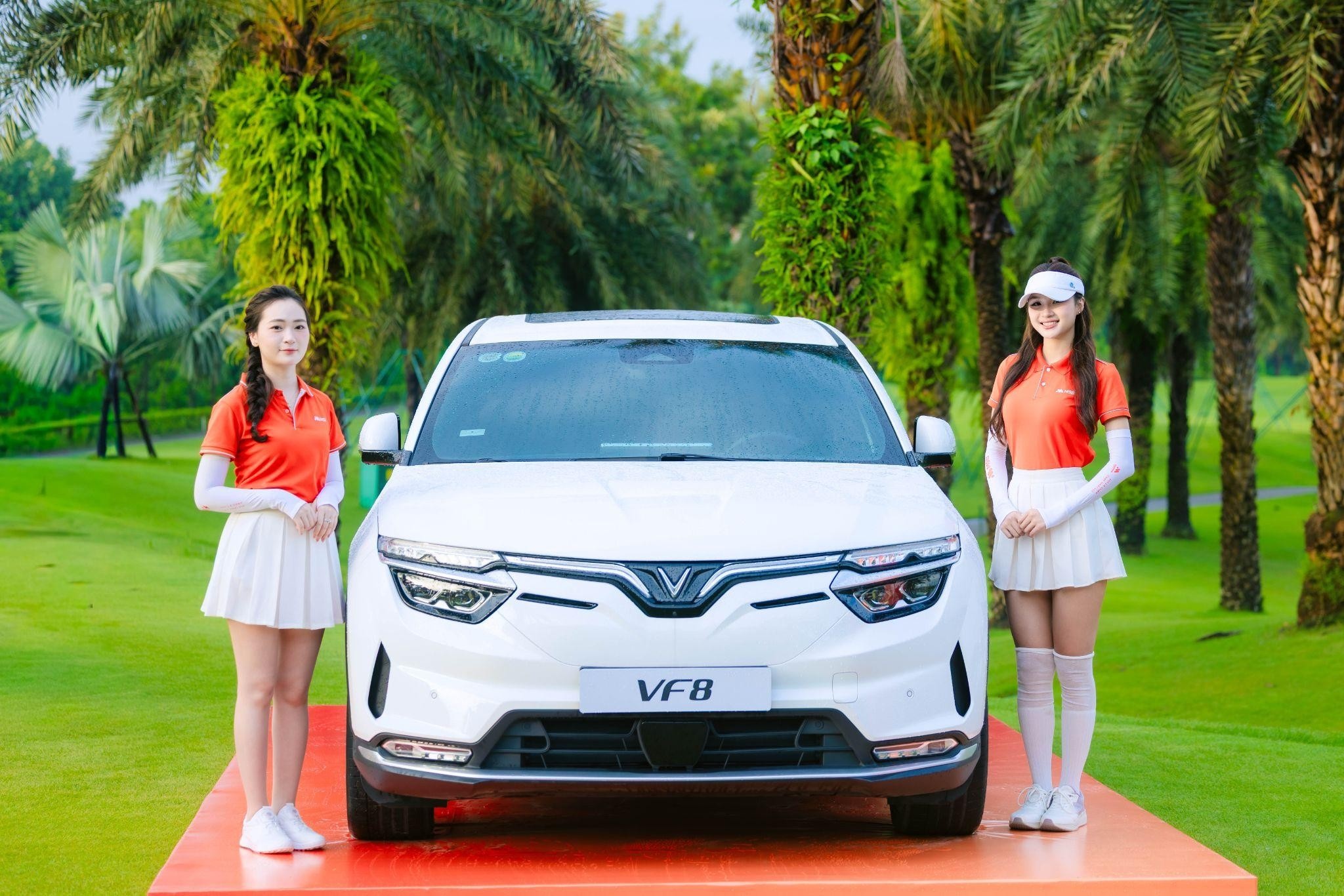MSB ảnh 2