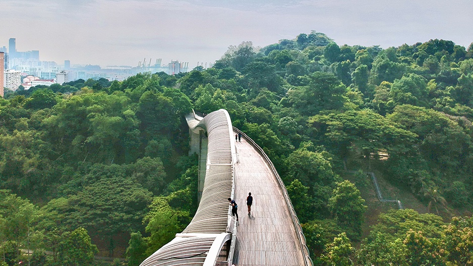 Du lịch Singapore ảnh 3