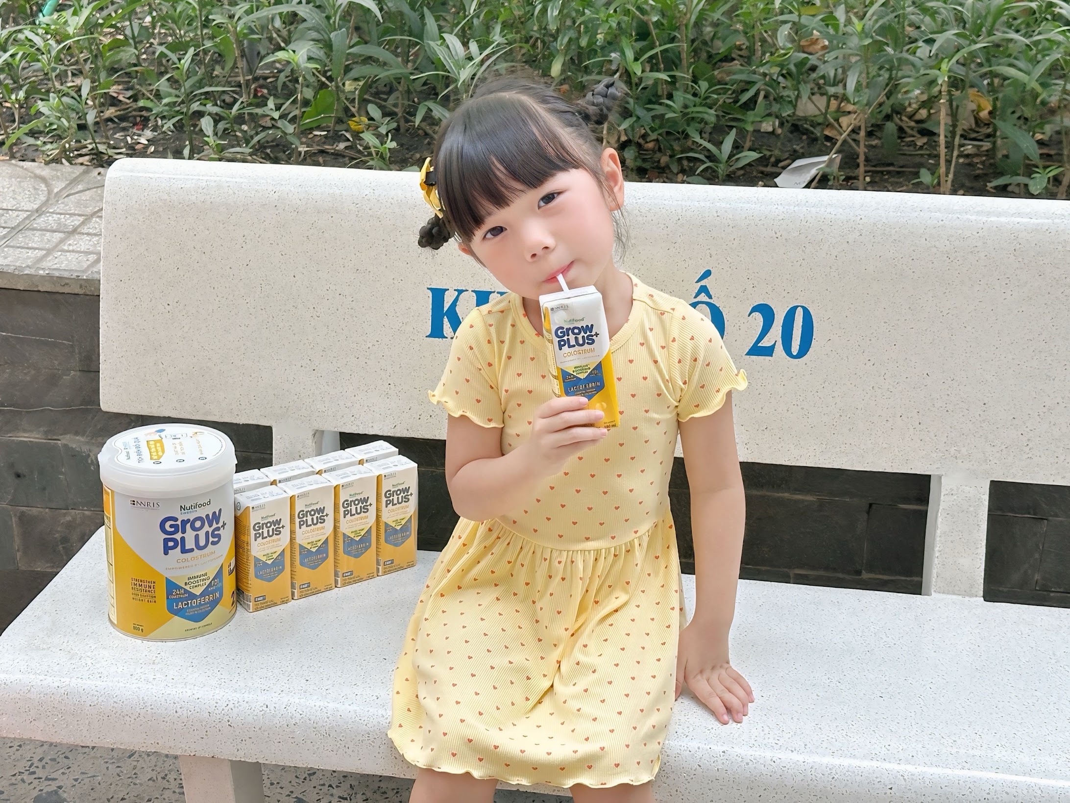 Nutifood GrowPLUS+ Colostrum Lactoferrin ảnh 2