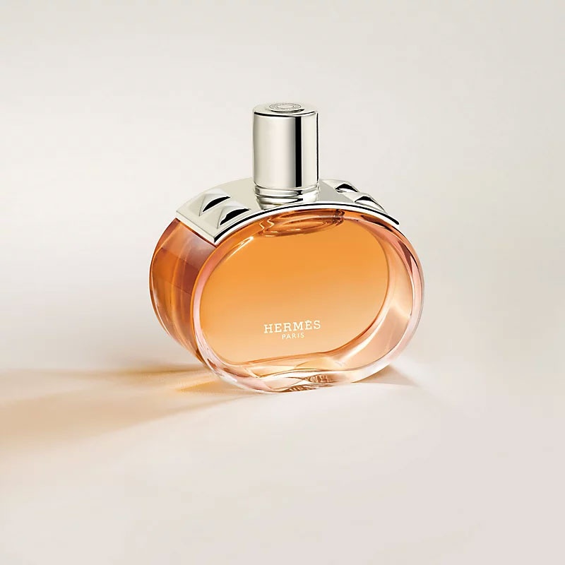 Herm&egrave;s ảnh 5