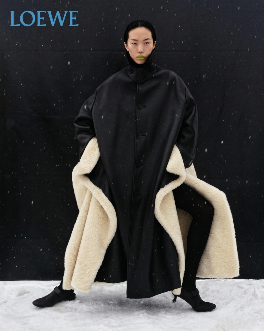 Loewe ảnh 5 Loewe ảnh 5