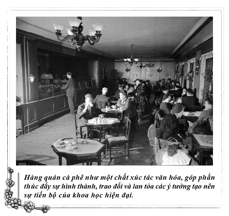 C&agrave; ph&ecirc; triết đạo ảnh 6