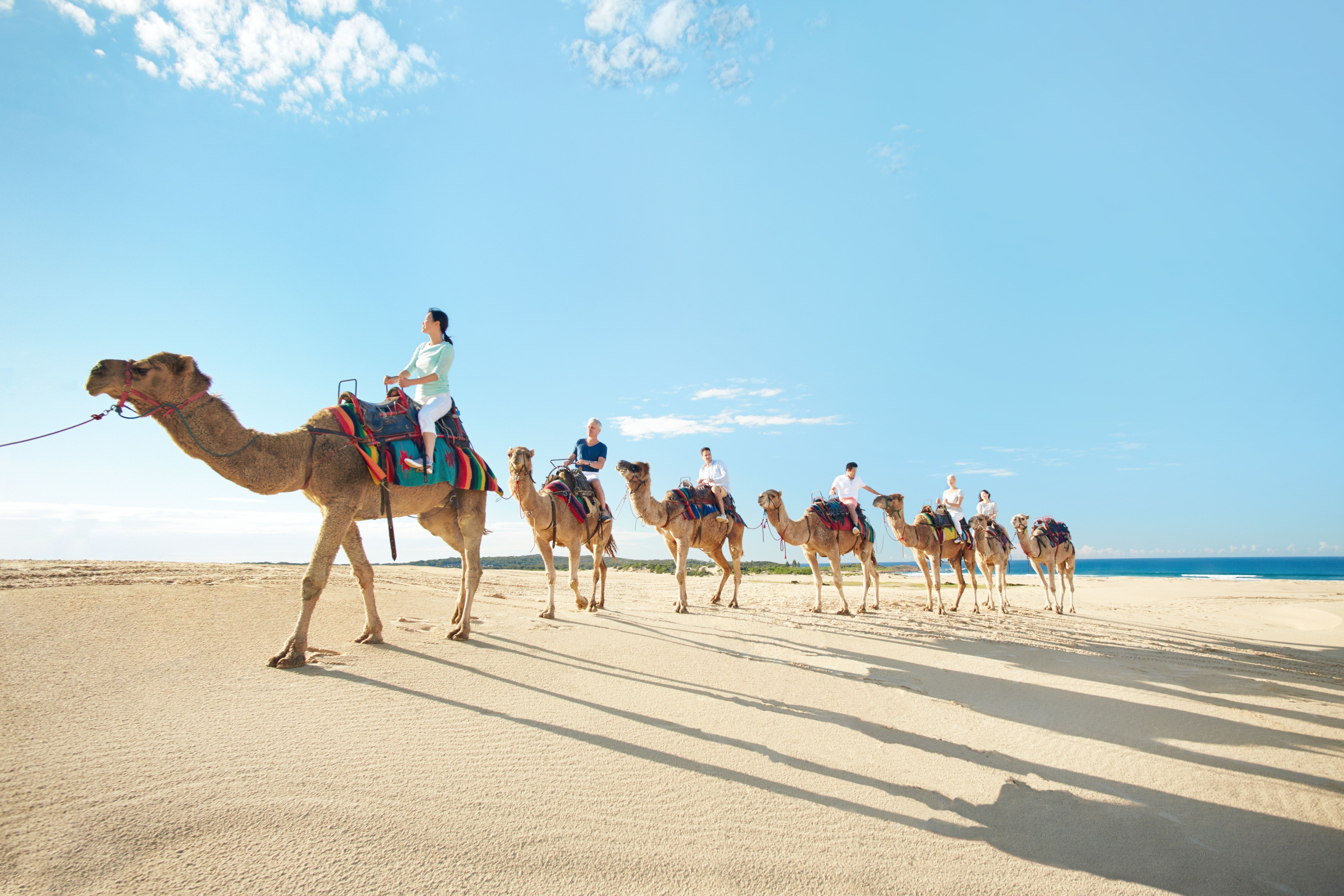 Khám phá 3 vùng đất đẹp 'nín thở' tại New South Wales