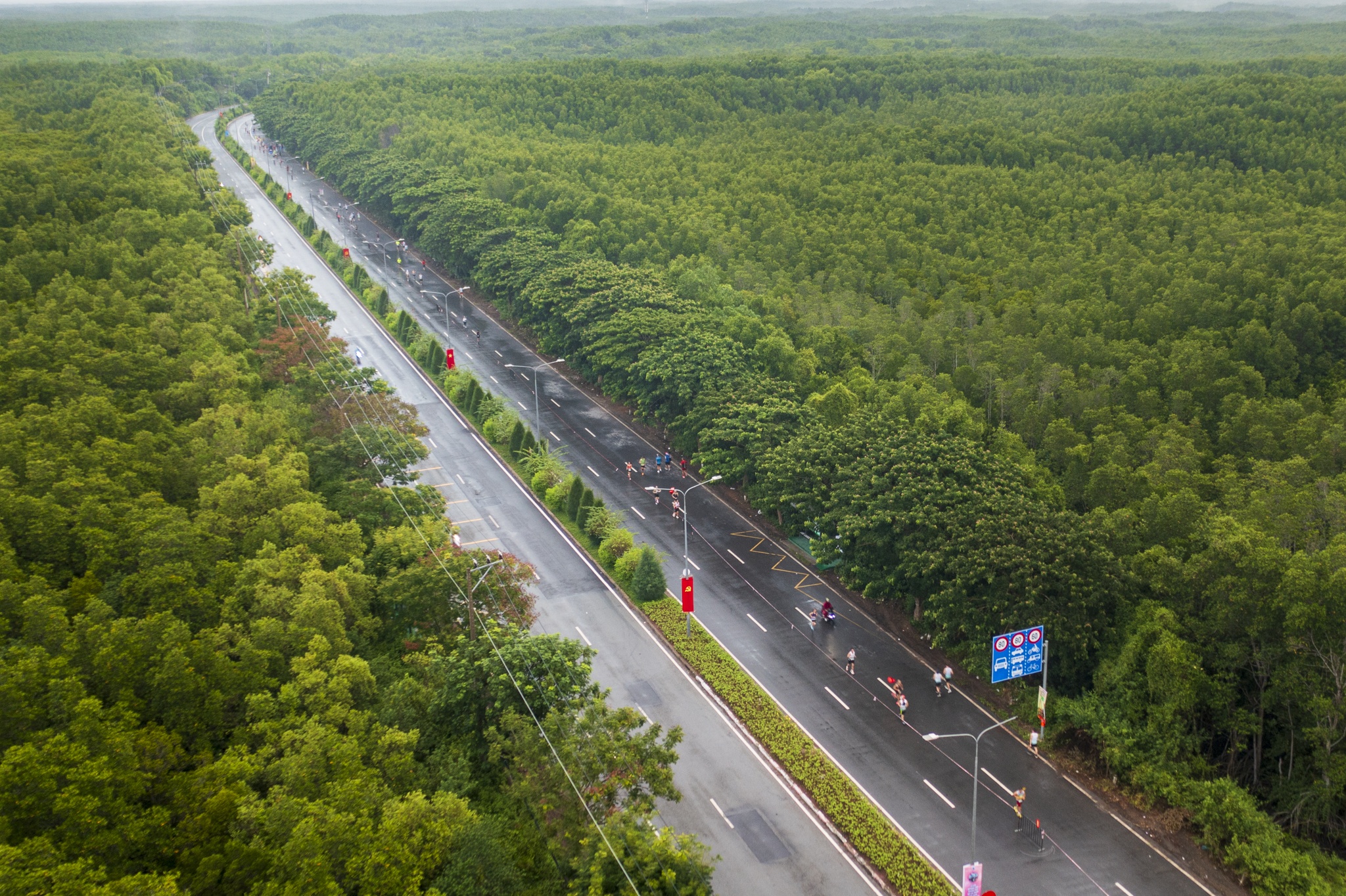 HDBank Green Marathon 2026 ảnh 8
