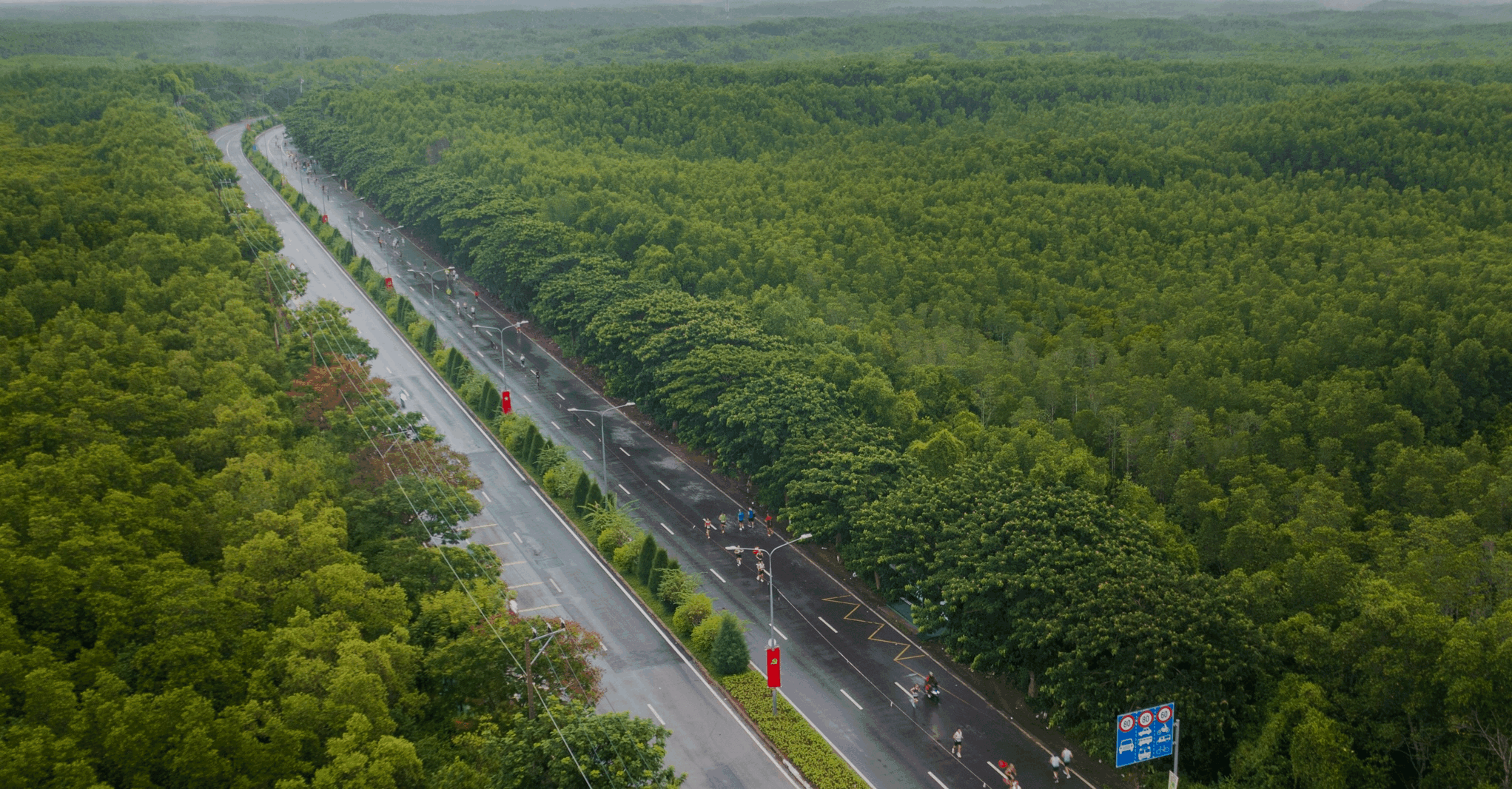 HDBank Green Marathon ảnh 2 HDBank Green Marathon ảnh 2