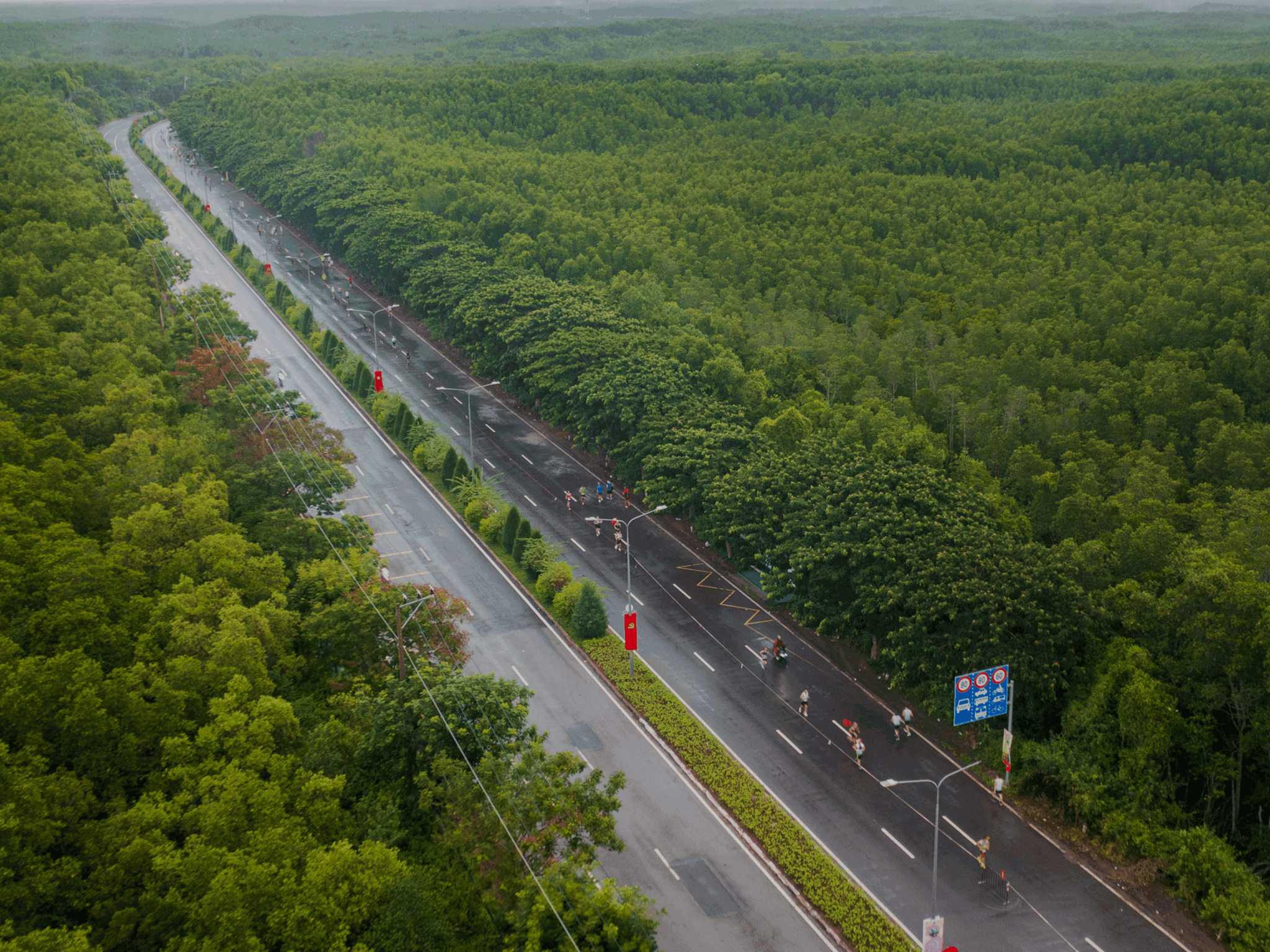 HDBank Green Marathon ảnh 1 HDBank Green Marathon ảnh 1