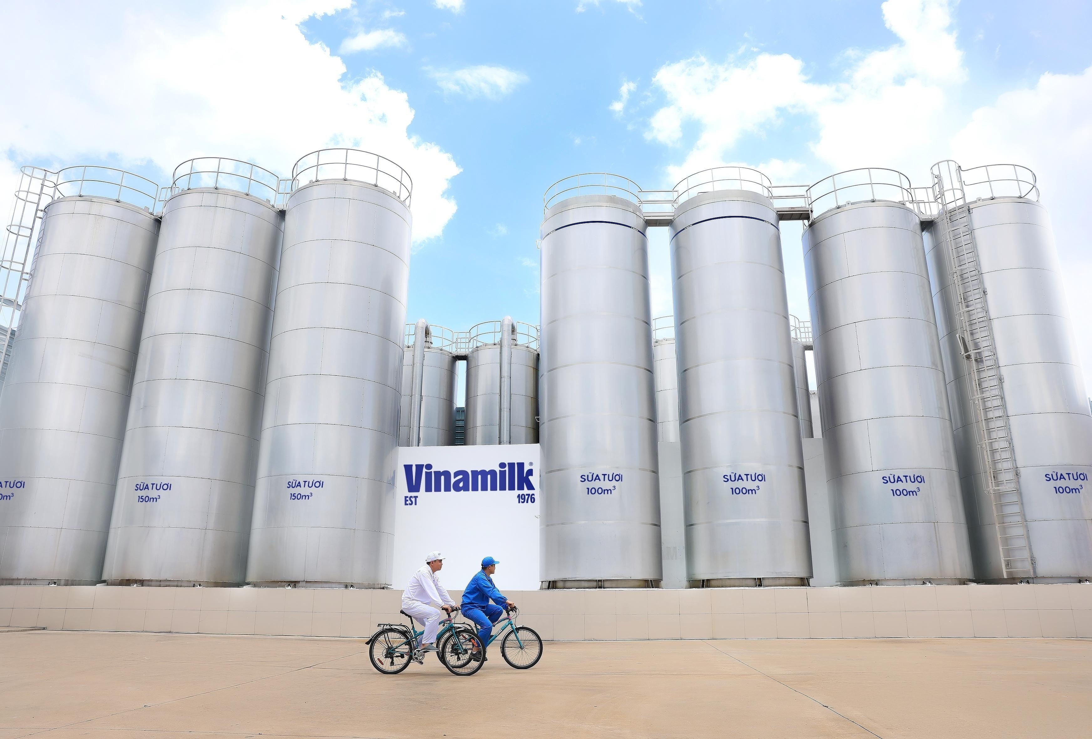 50 năm Vinamilk - khi ‘đạt chuẩn’ chưa phải là điểm dừng