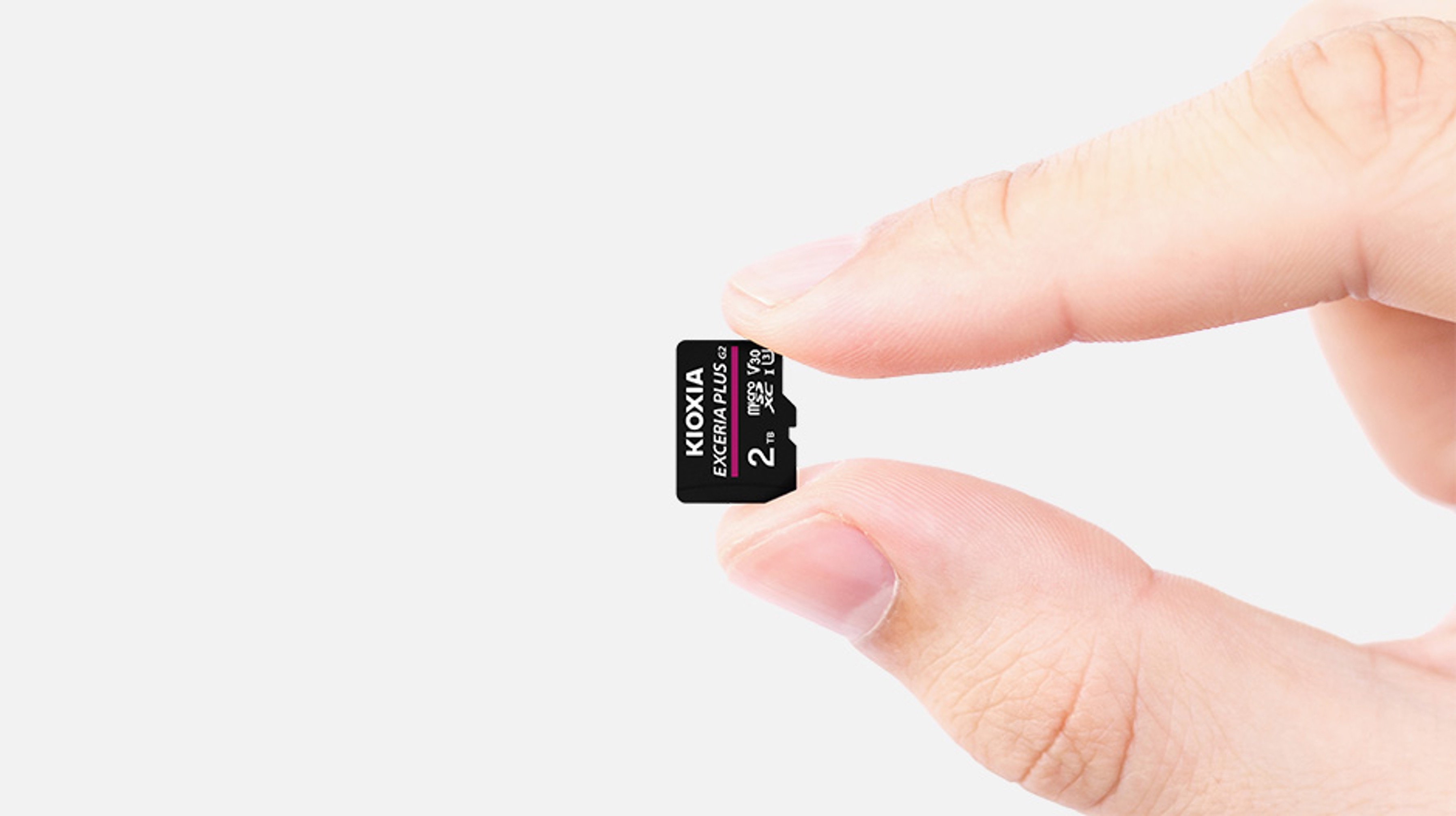 Kioxia Exceria Plus ảnh 1