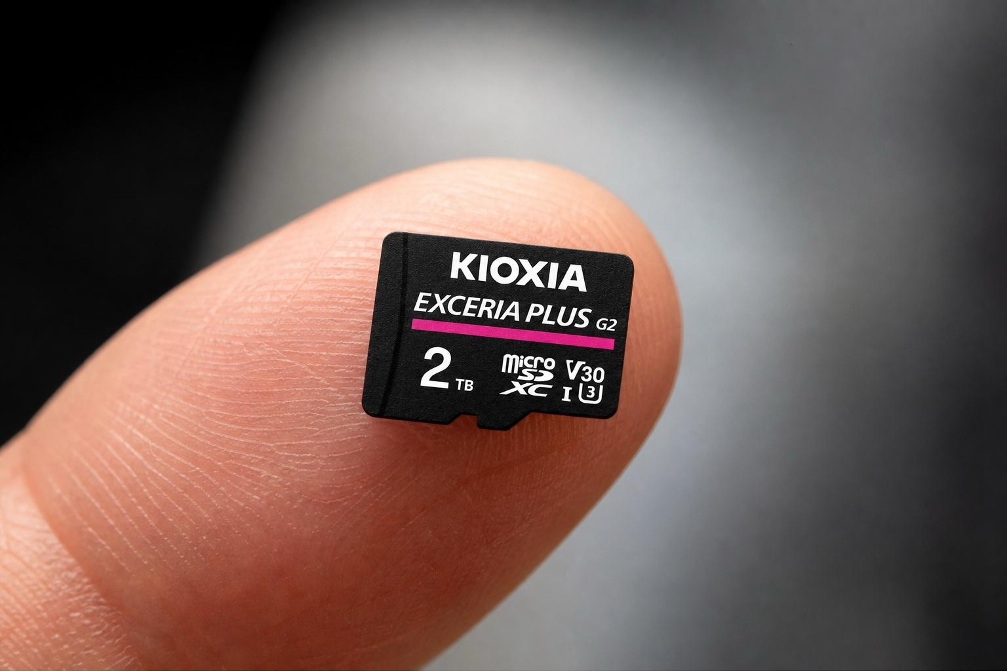 Kioxia Exceria Plus ảnh 2