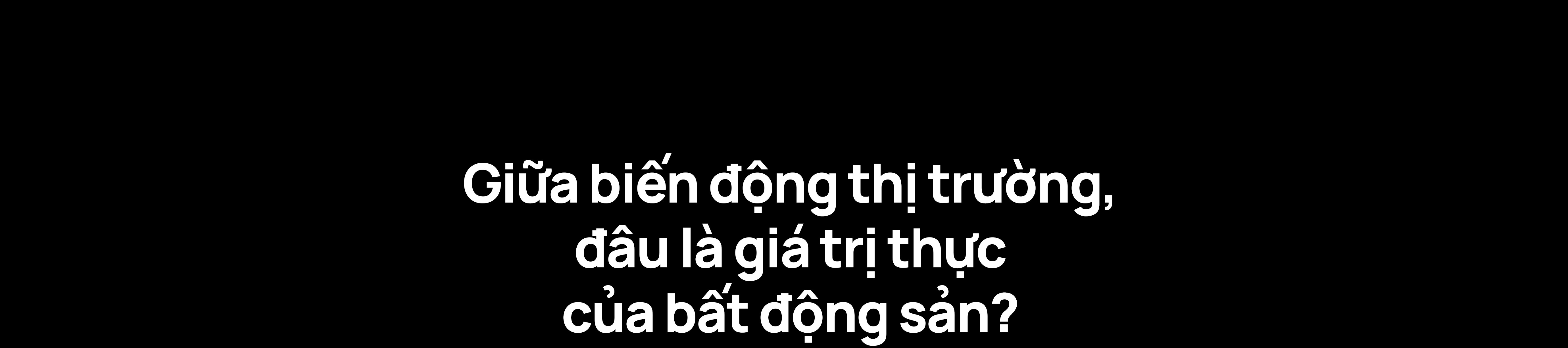 Nam Long ảnh 1