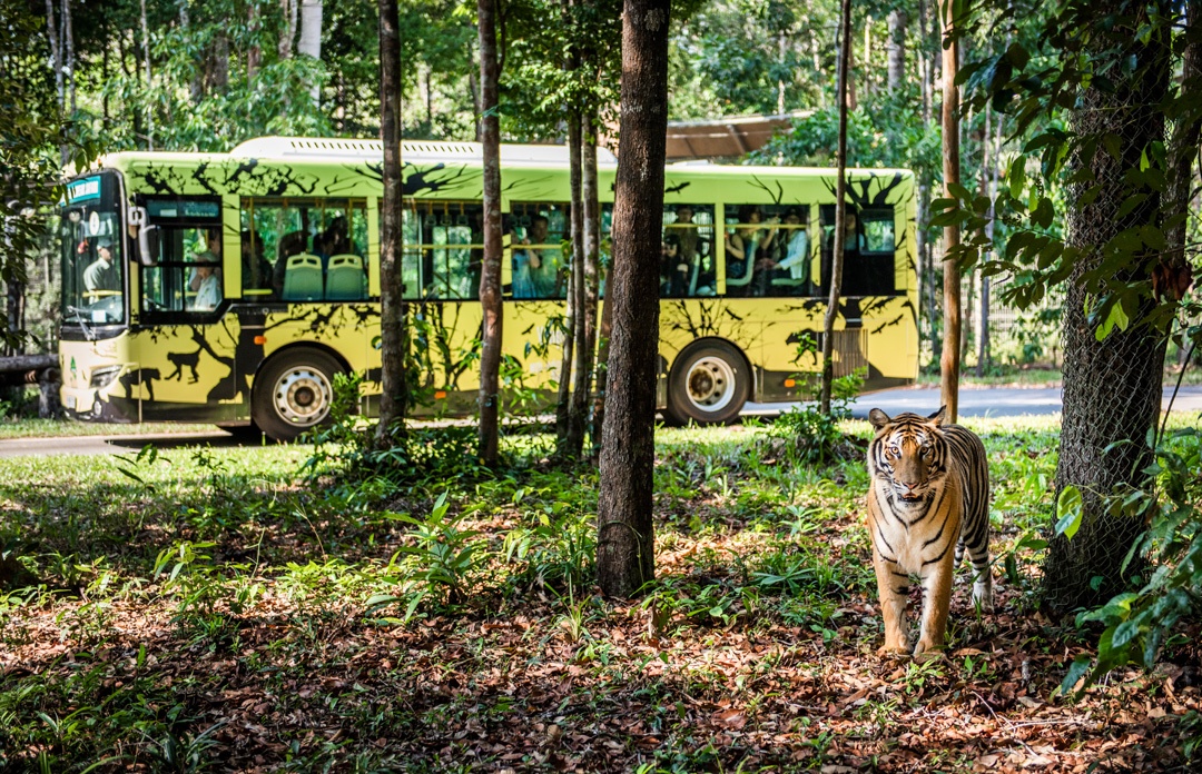 Vinpearl Safari Phú Qu&ocirc;́c ảnh 5