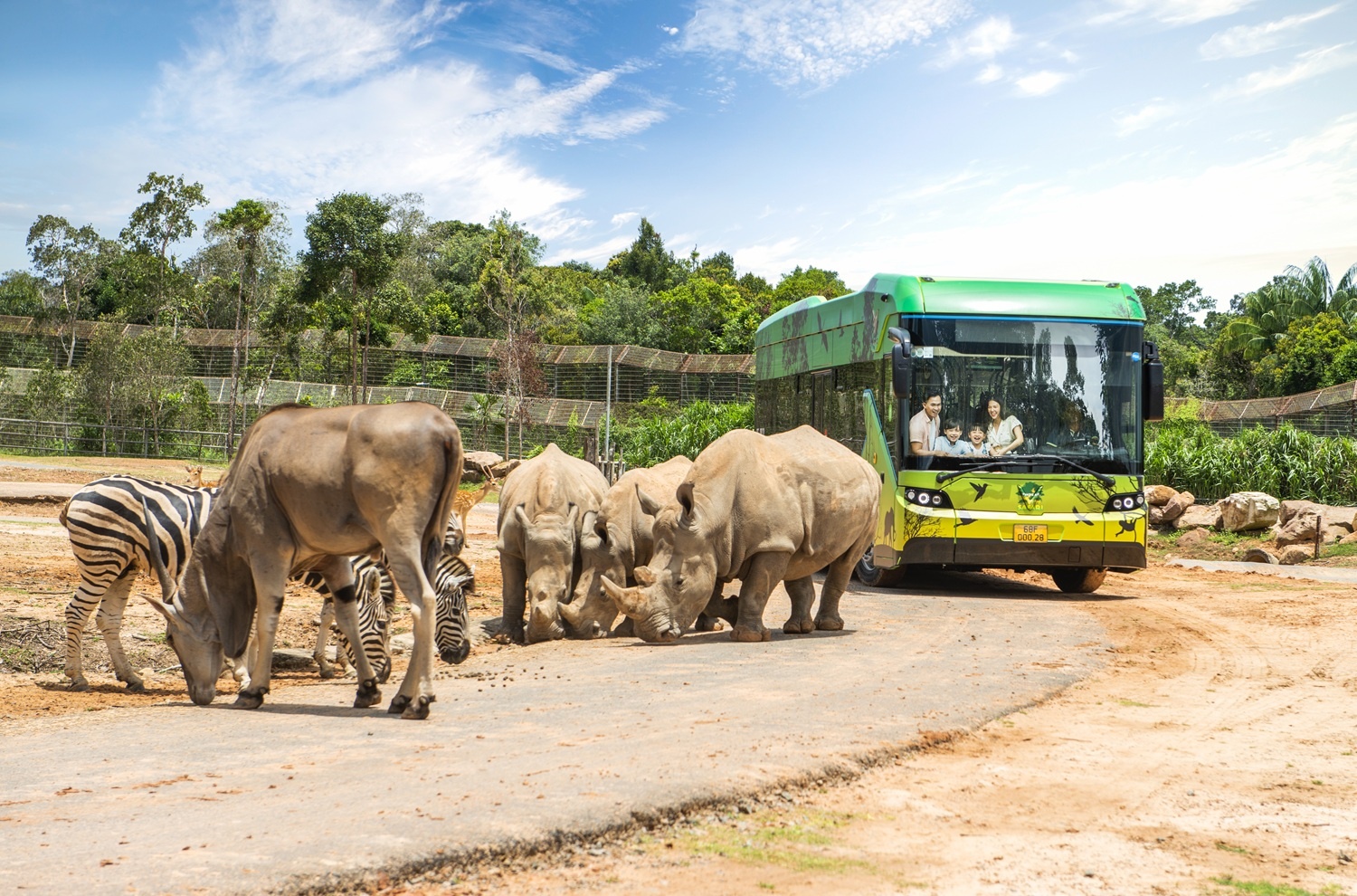 Vinpearl Safari Phú Qu&ocirc;́c ảnh 7