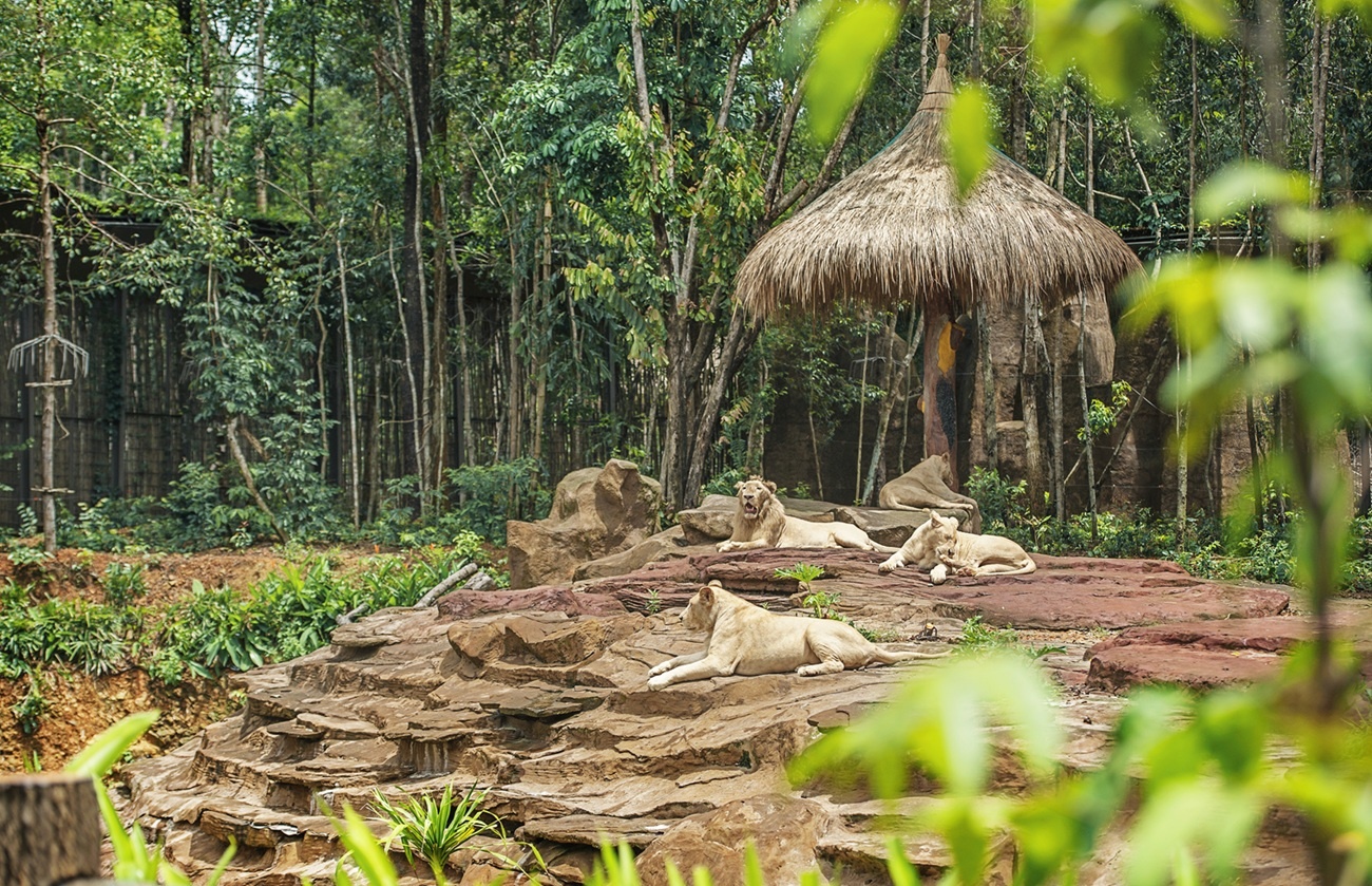 Vinpearl Safari Phú Qu&ocirc;́c ảnh 8