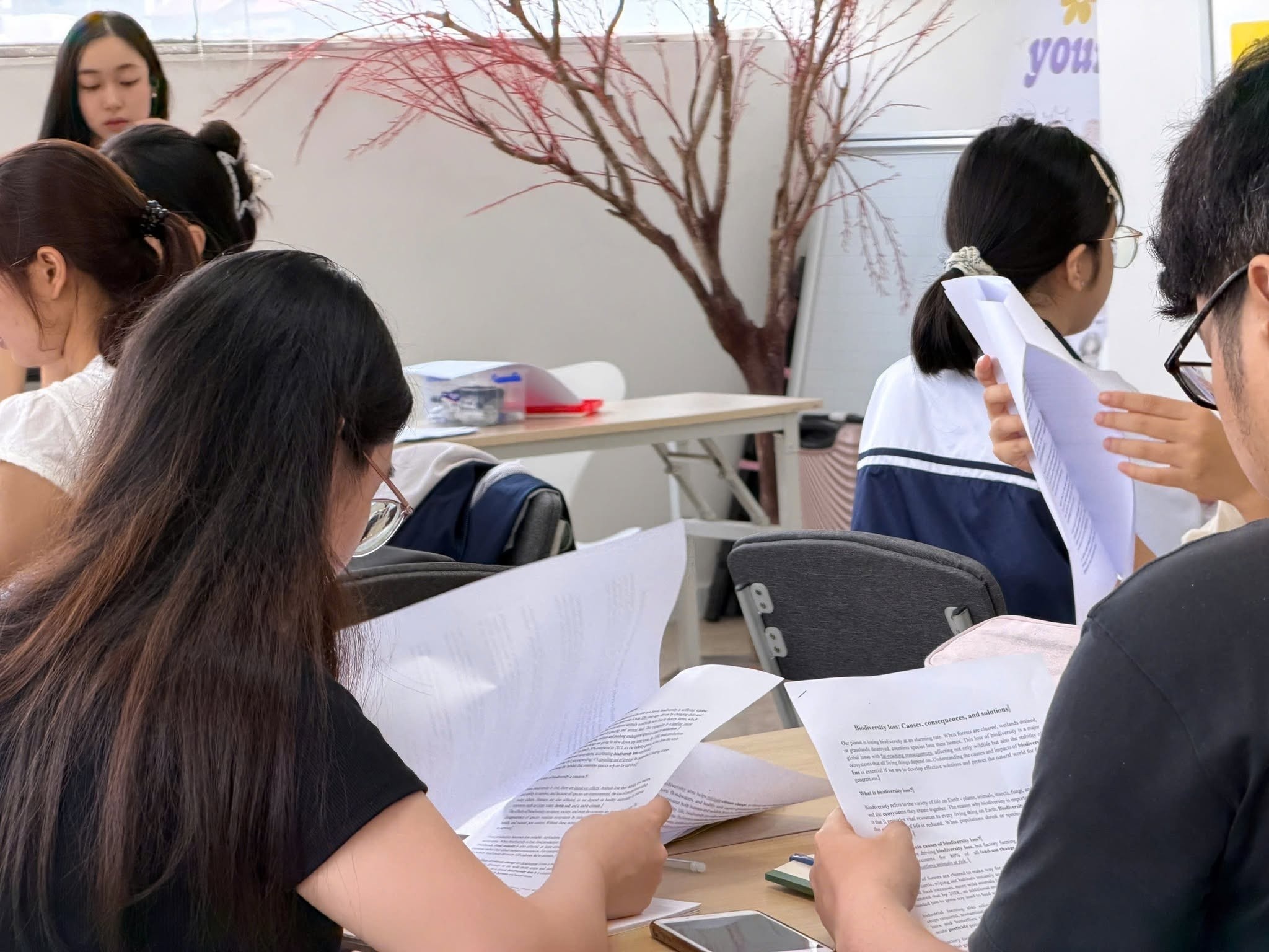 IELTS  ảnh 2