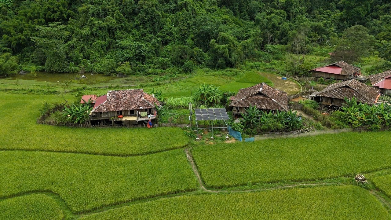 Viettel ảnh 1 Viettel ảnh 1