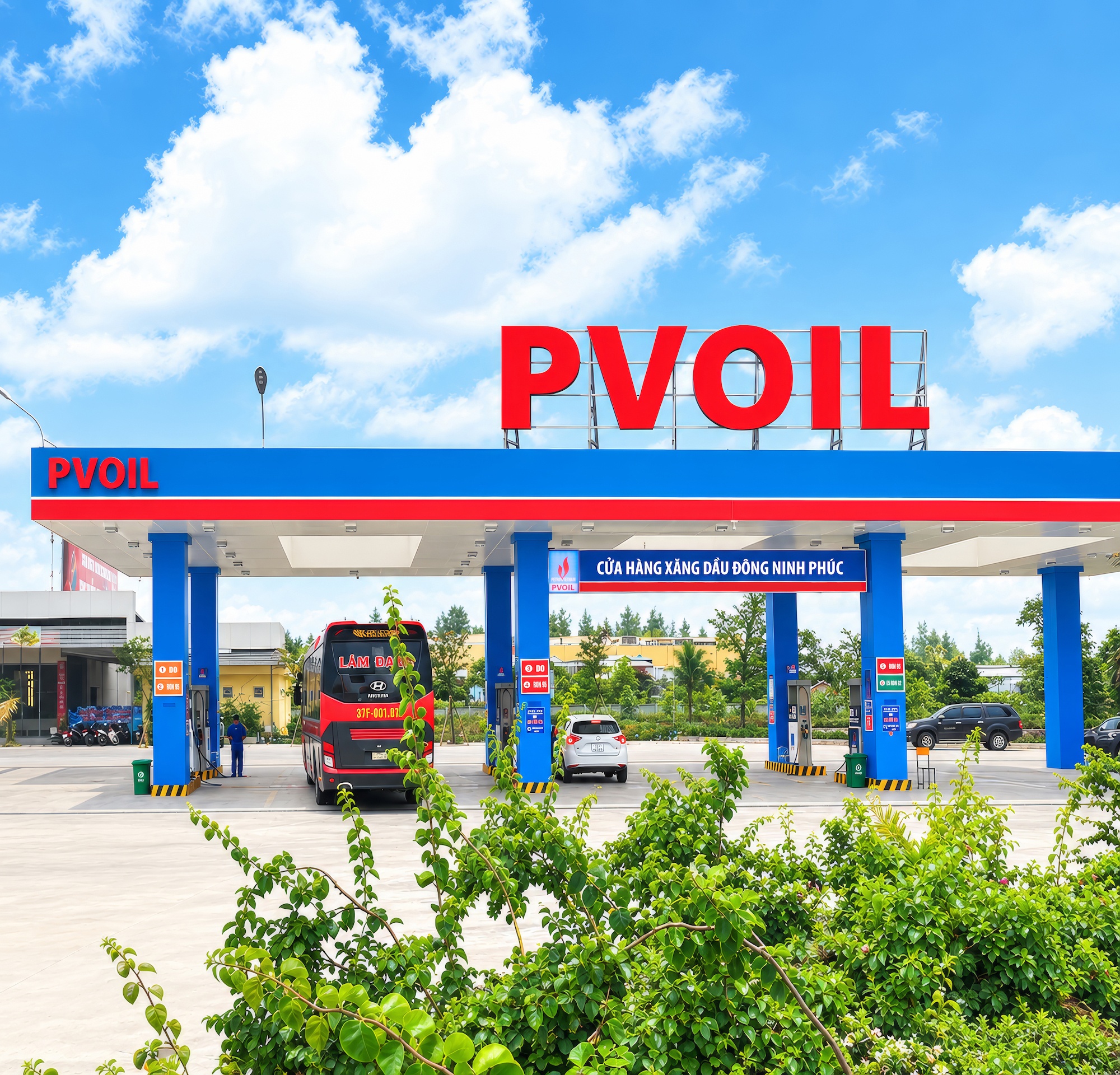 PVOIL ảnh 1