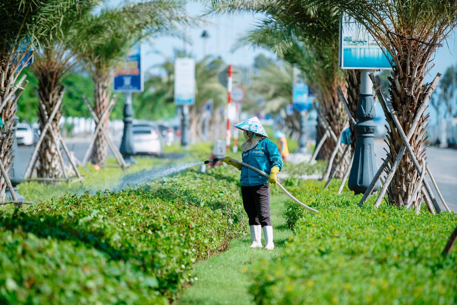 Blanca City ảnh 8