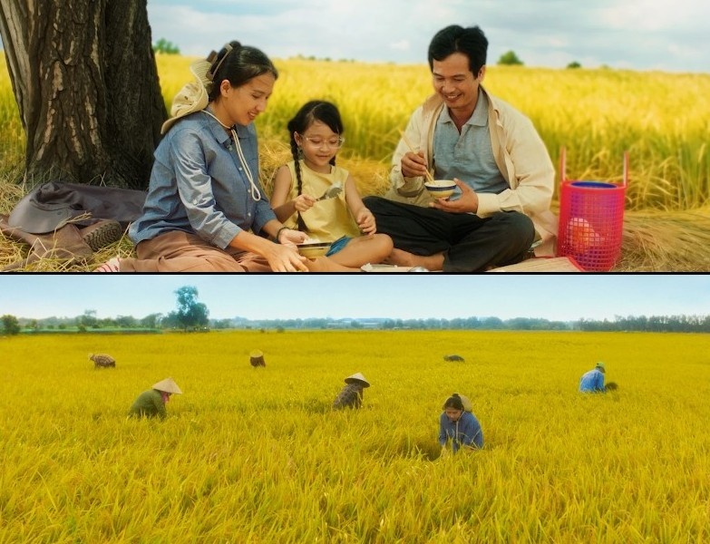 Dầu ăn Simply ảnh 3