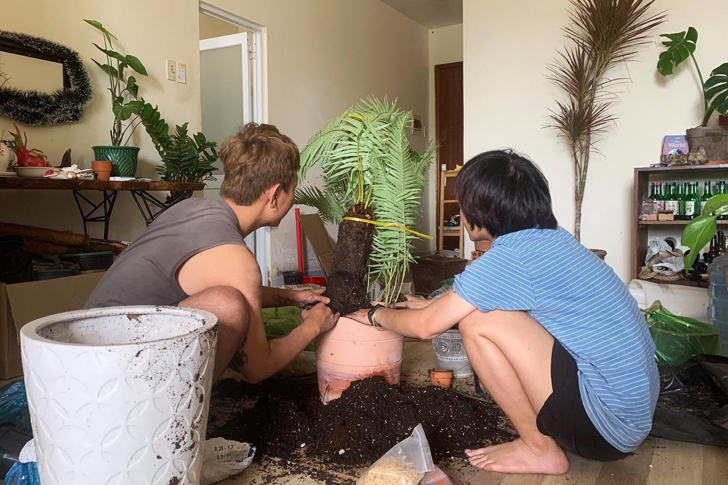 tieng on o chung cu TPHCM anh 2