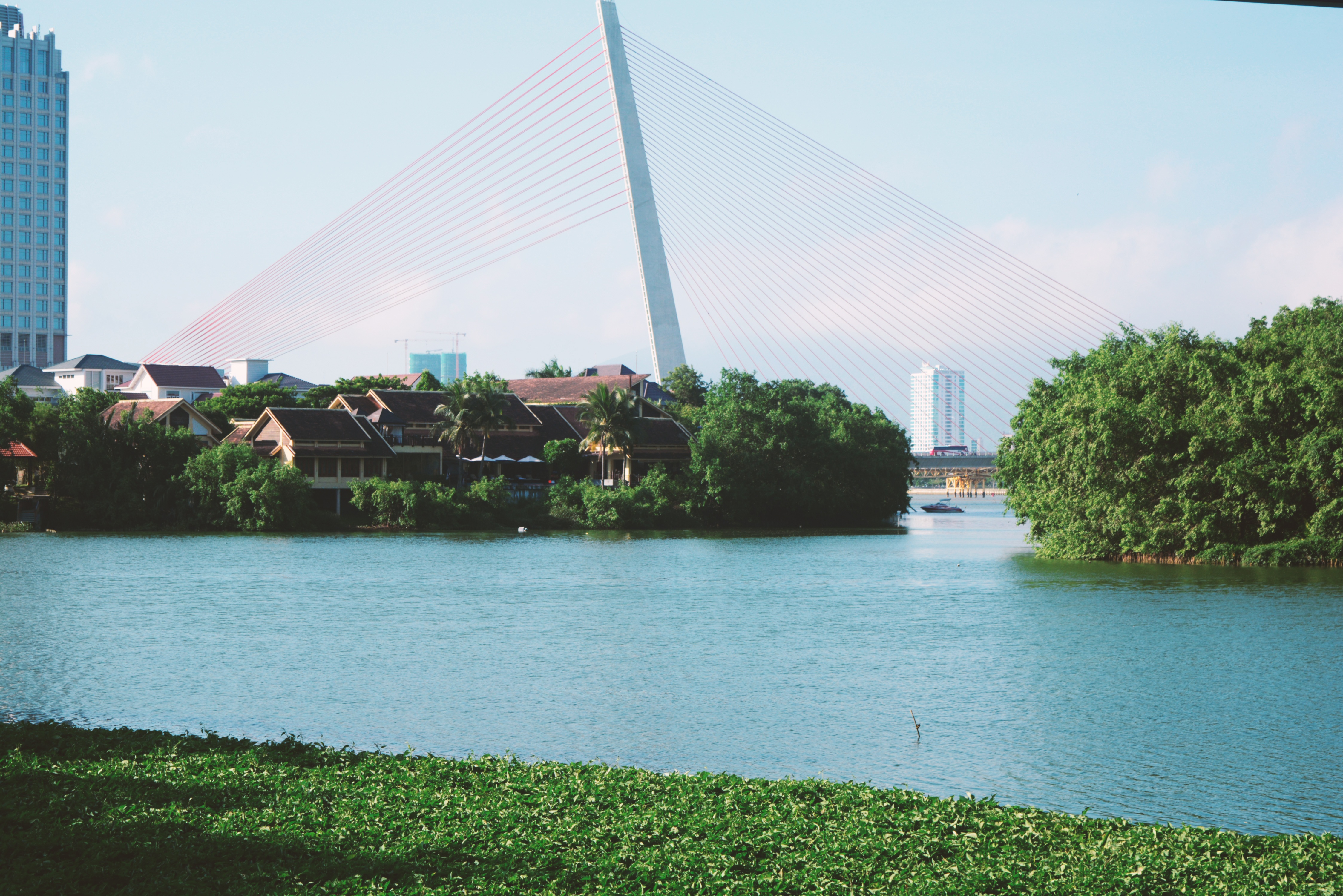 Nguoi tre TPHCM muon di du lich anh 15