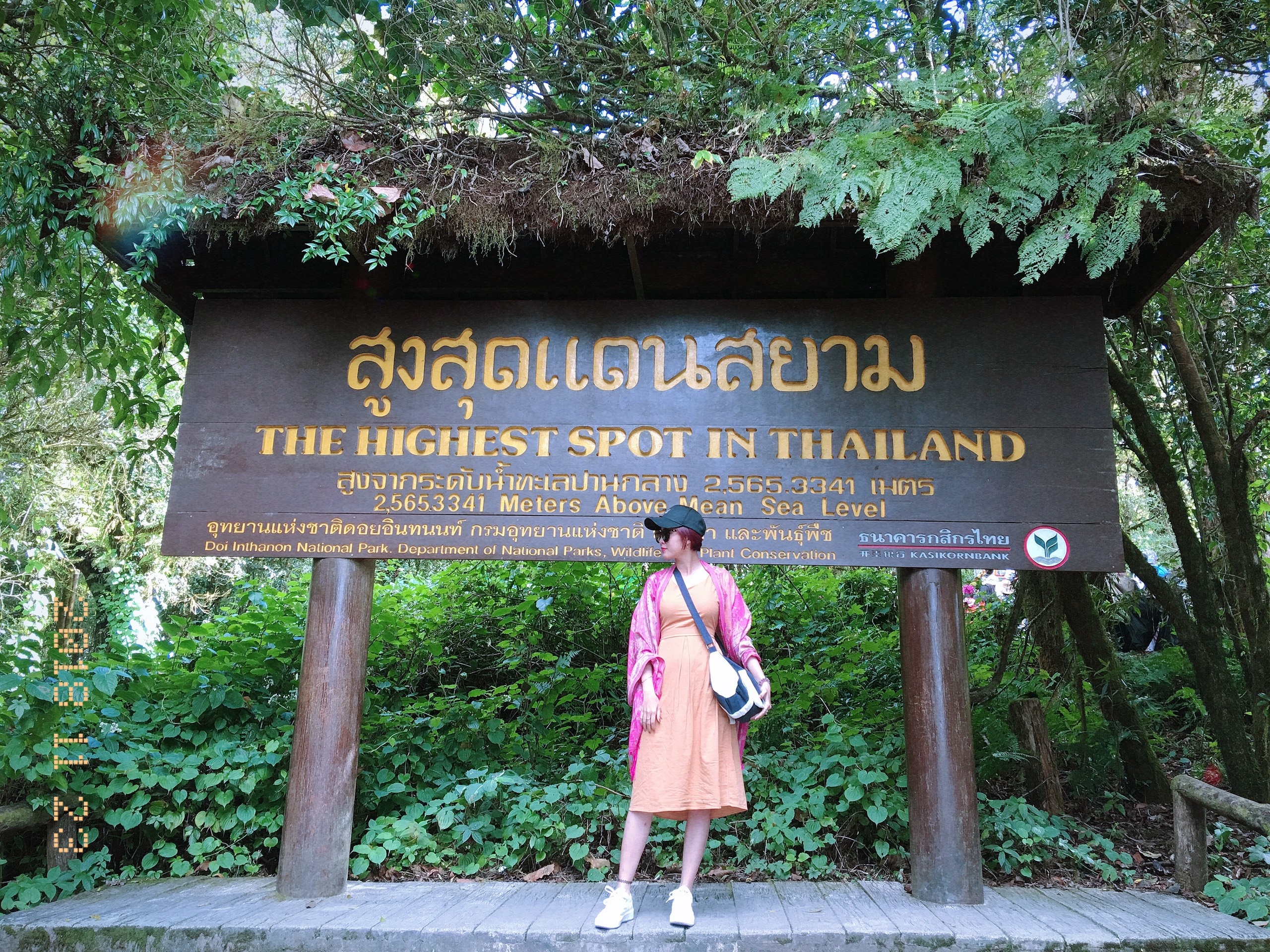 Nguoi tre TPHCM muon di du lich anh 18