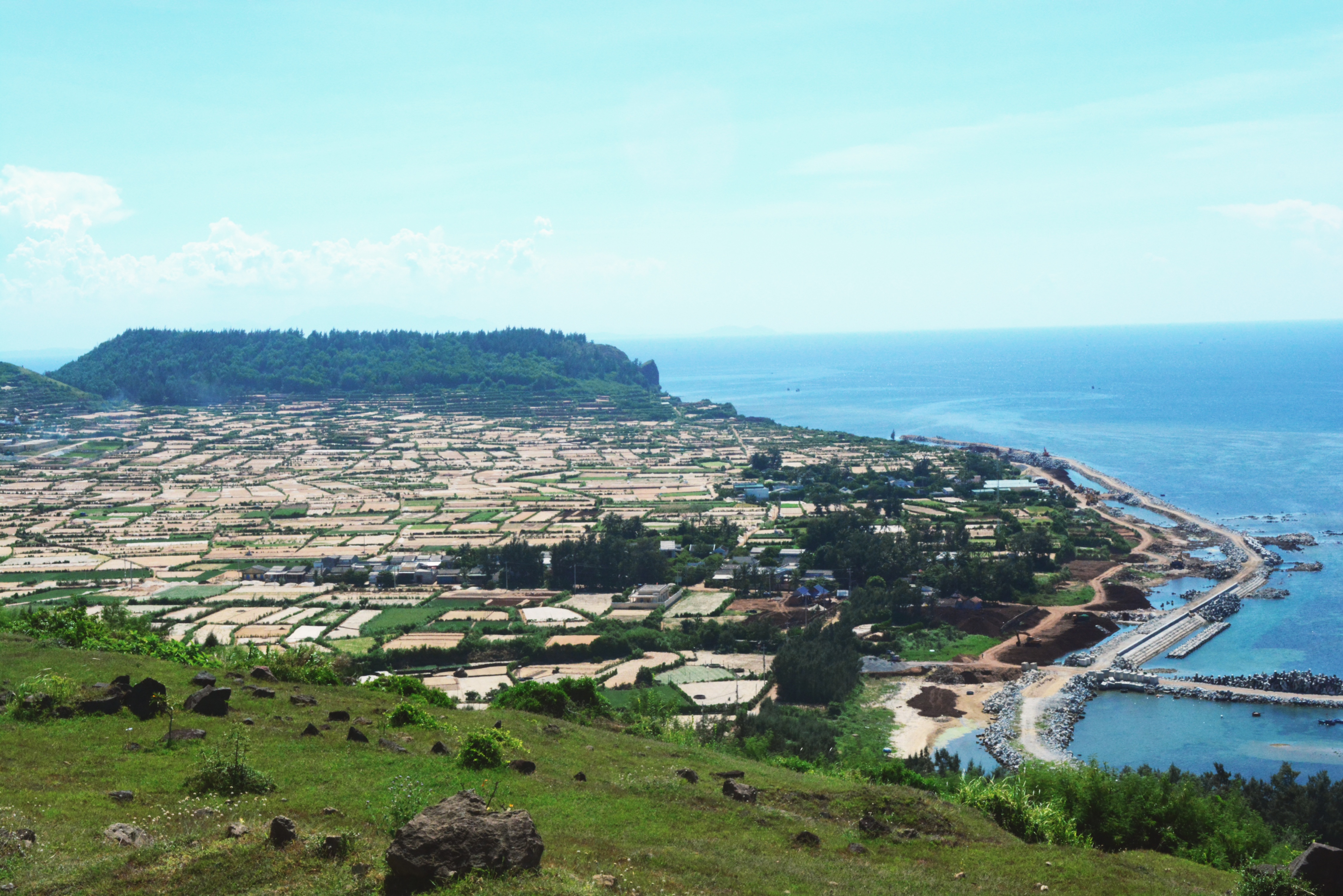 Nguoi tre TPHCM muon di du lich anh 14