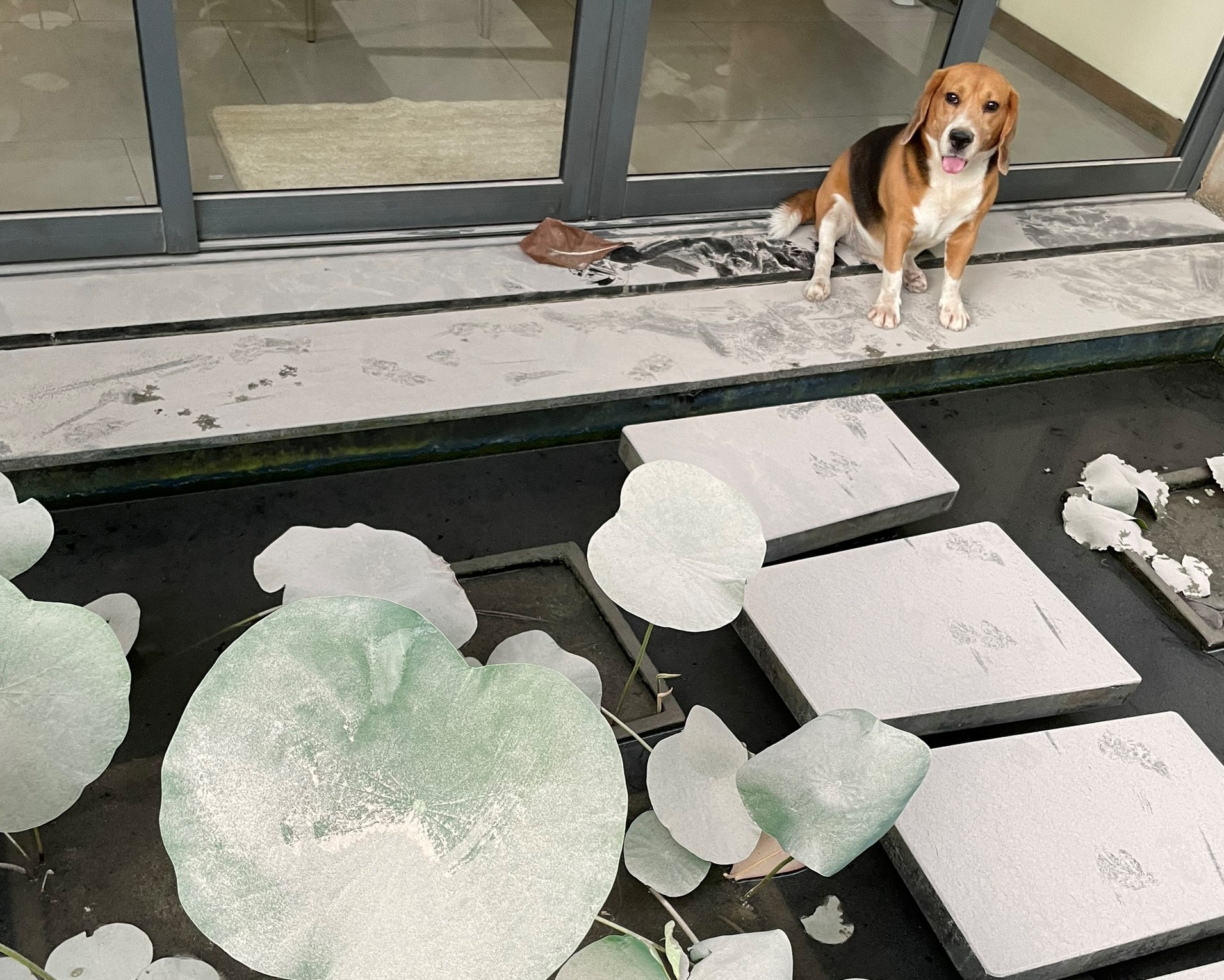 Cu dan kho vi cong trinh xay dung gay bui va on anh 3