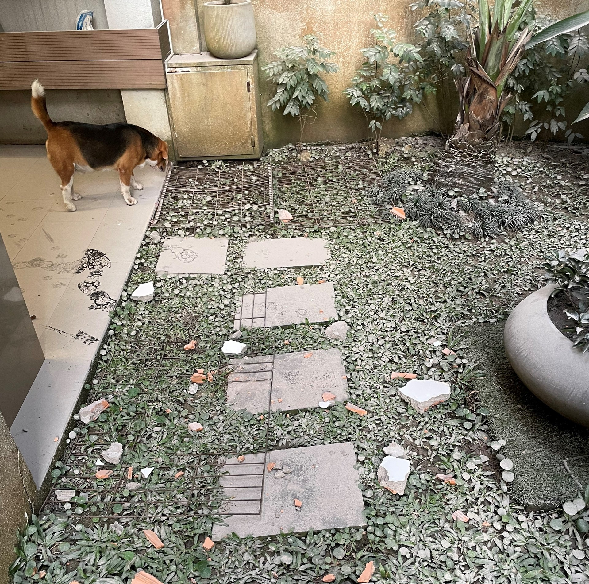 Cu dan kho vi cong trinh xay dung gay bui va on anh 6