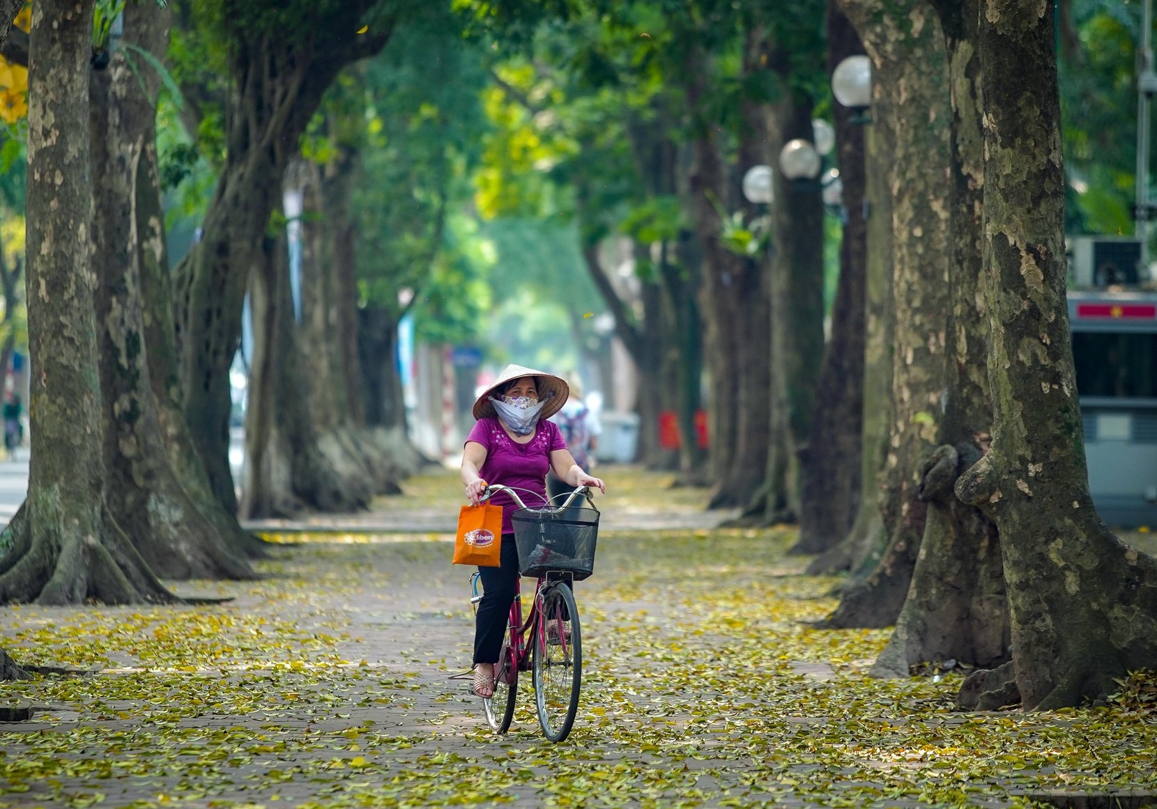 ‘Pho Sau’ Ha Noi hinh anh