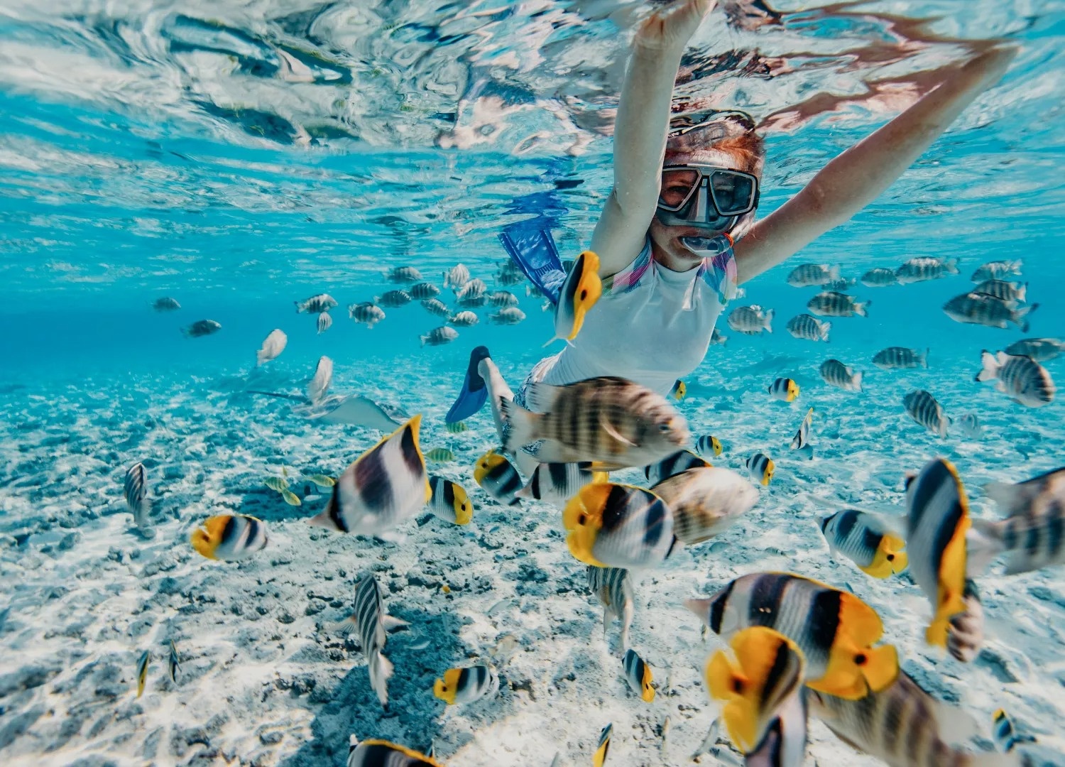 du lịch Malaysia ảnh 6 du lich Malaysia anh 6