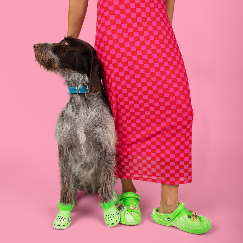 2024_S4_Croctober_Pet_Crocs_Global_Creative_Ecomm_GLBL_Onsite_Story_card_matching_crocs.png