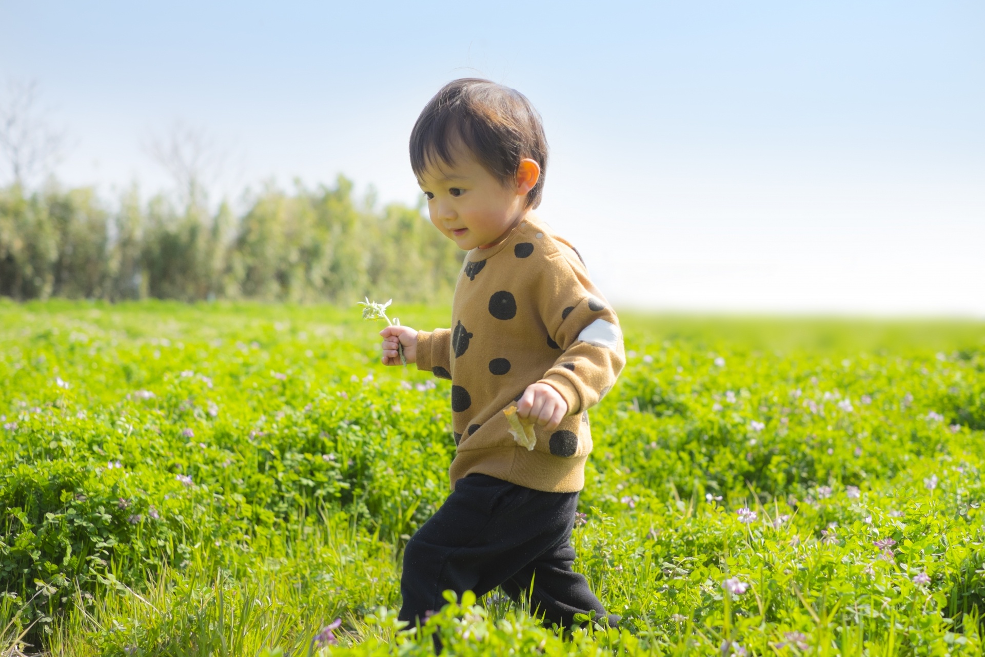 Nutifood GrowPLUS+ Colostrum Lactoferrin anh 2