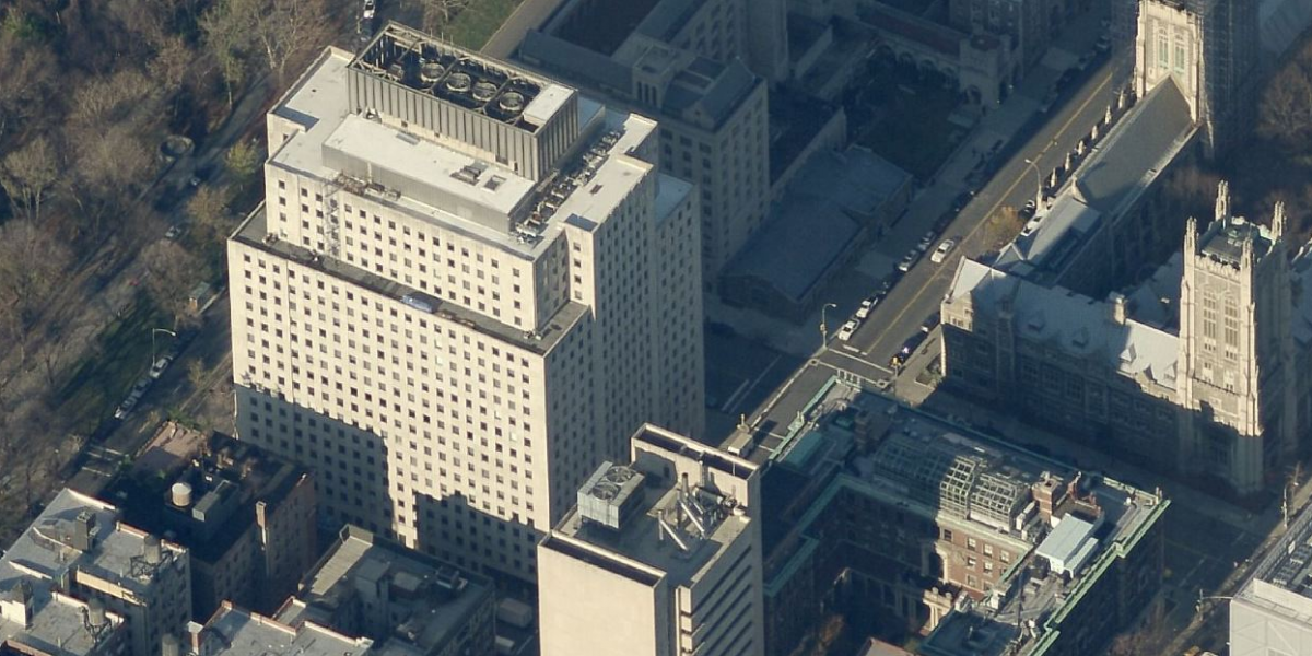 Anh có gần bảy năm làm việc tại một công ty kiểm kê. Peter Dinklage tâm sự rằng, “Đến bây giờ tôi cũng chẳng biết công ty đó làm về cái gì. Công việc của tôi chỉ là nhập thông tin vào máy tính. Tôi luôn cáo bệnh vào mỗi thứ Sáu vì ngày trước đó tôi luôn chè chén với bạn bè mình”.