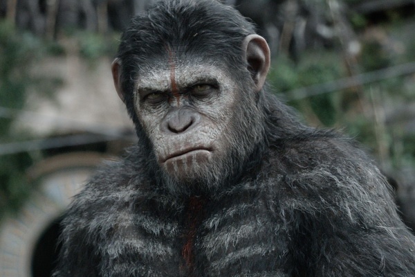 Trailer cuoi cung cua 'Dawn of the Planet of the Apes' hinh anh