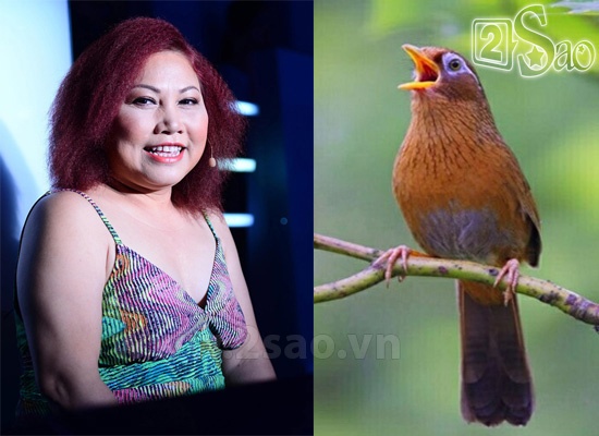 Giọng hát mạnh mẽ, hào sảng Siu Black – một người con Tây Nguyên đã mang lại cho cô nickname Họa mi núi rừng.