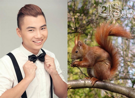 Tiến Việt Idol có tên thân mật là Sóc. Có lẽ biệt danh này xuất phát từ sự láu cá,  nhanh nhẹn của anh chàng.