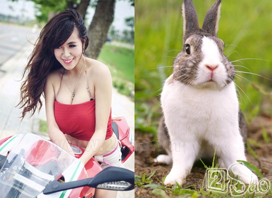 “Hotgirl ngực khủng” Mai Thỏ vốn có tên thật khá giản dị là Bùi Như Mai. 