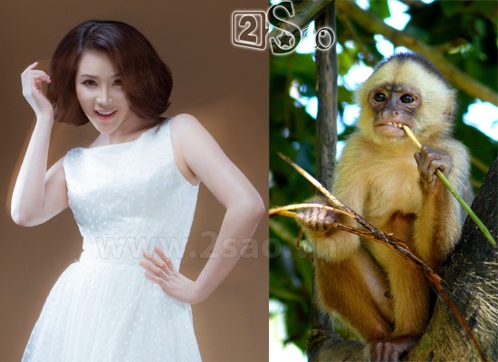 Hồ Quỳnh Hương tâm sự rằng biệt danh Khỉ vàng của cô có từ hồi nhỏ, xuất phát từ việc cô rất thích nhảy nhót, leo trèo.