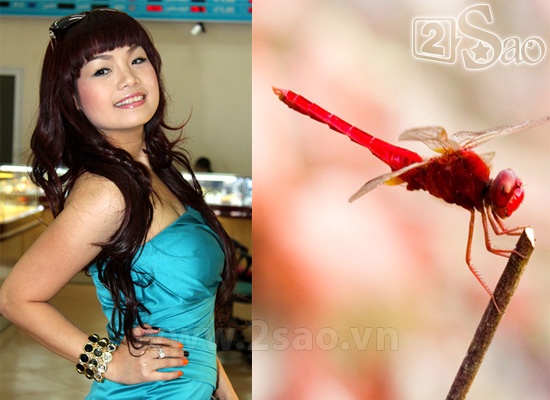 Ngọc Khuê được người hâm mộ đặt cho biệt danh Chuồn chuồn ớt