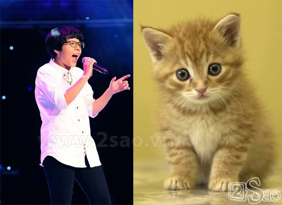 Giọng ca cá tính đến từ The Voice 2013 Vũ Cát Tường có biệt danh là Mèo. 