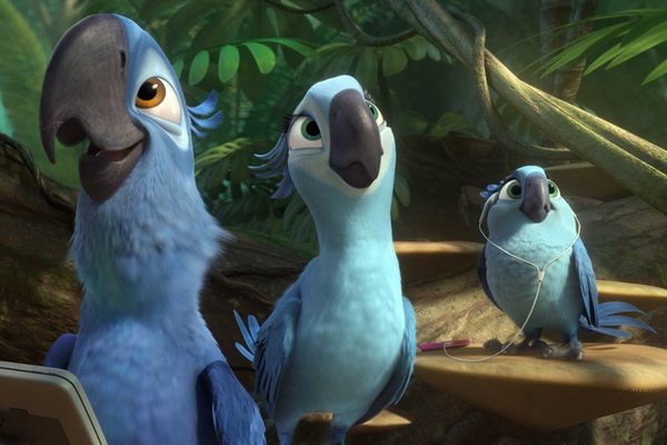 Chu vet xanh truyen cam hung cho ‘Rio’ qua doi hinh anh