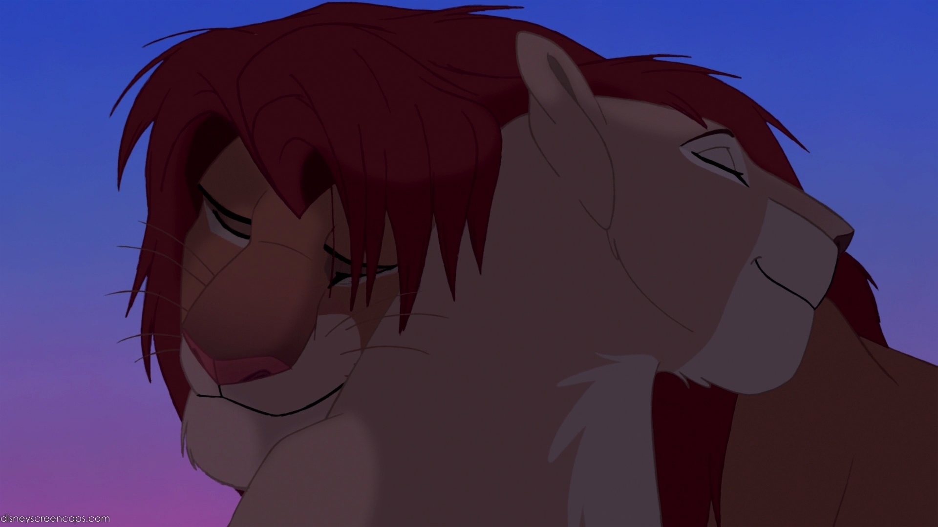 Ca khúc trứ danh Can You Feel the Love Tonight? ban đầu được sử dụng cho cặp đôi hài hước Timon và Pumbaa. Tuy nhiên, tác giả của bài hát là ca sĩ Elton John đã bác bỏ ý tưởng này. Ca khúc trở nên nổi tiếng khi được lồng vào cảnh lãng mạn giữa Simba và Nala.