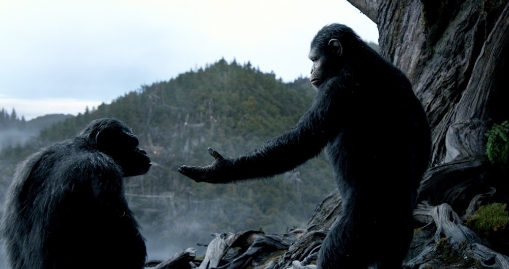 Dawn of the Planet of the Apes