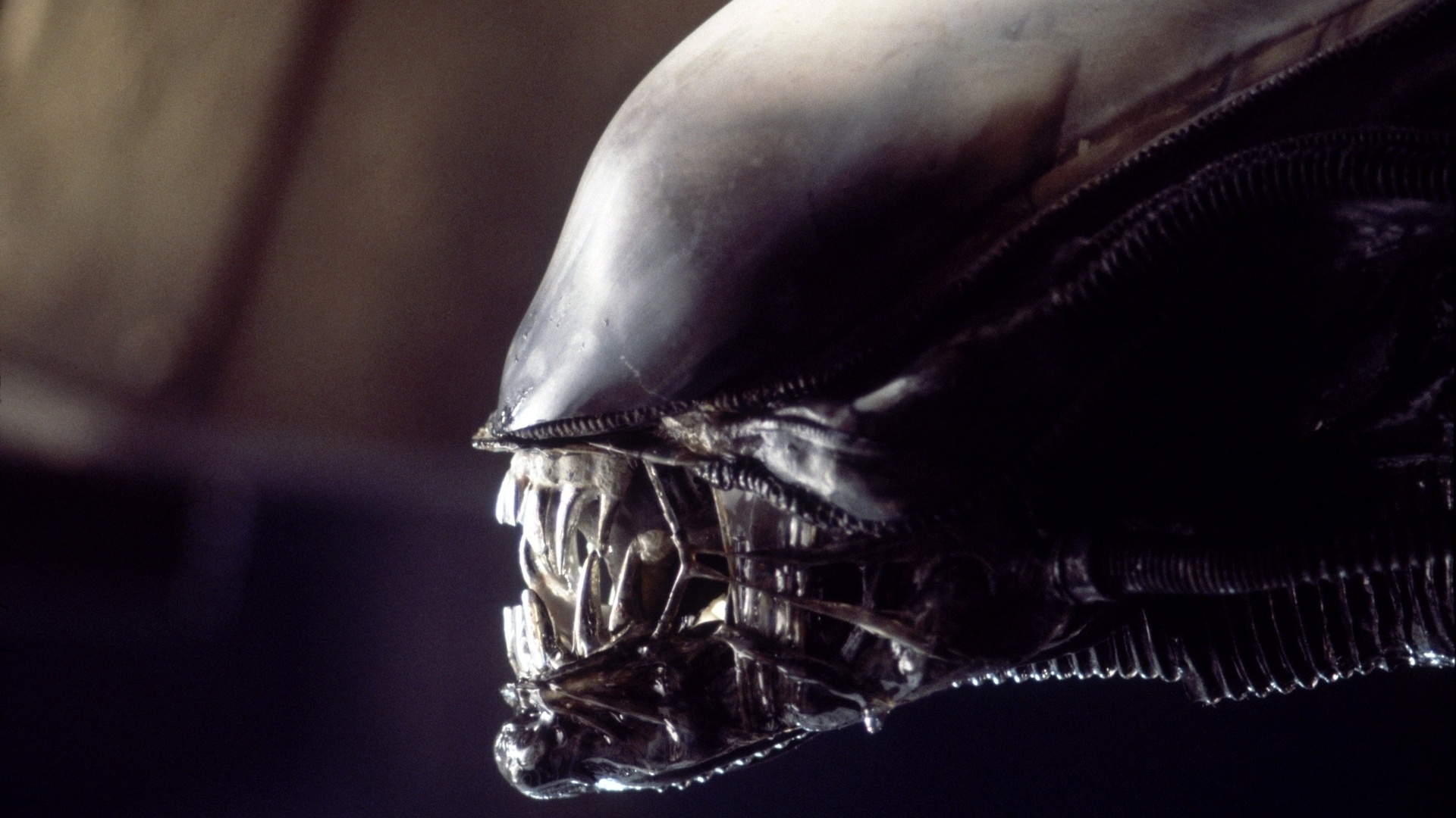 Alien (1979): H.R. Giger đã tạo ra một trong những loài quái vật ám ảnh nhất trong lịch sử điện ảnh qua bộ phim Alien nổi tiếng. Những khoảnh khắc đáng sợ khi bọn quái vật ngoài hành tinh tấn công con người giúp tạo nên bầu không khí hồi hộp và đầy bất an, biến Alien trở thành một tác phẩm vượt thời gian. 