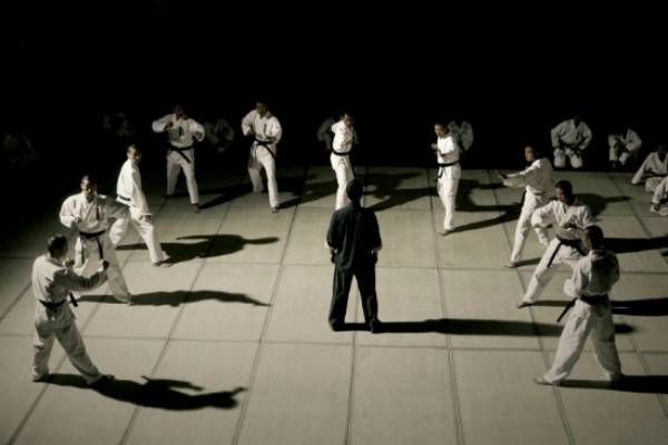 'Diep Van' (2008) hinh anh