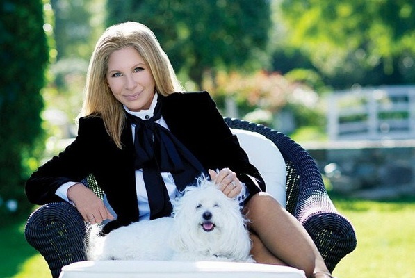 ‘Nu hoang’ Barbra Streisand chiem ngoi dau Billboard 200 hinh anh