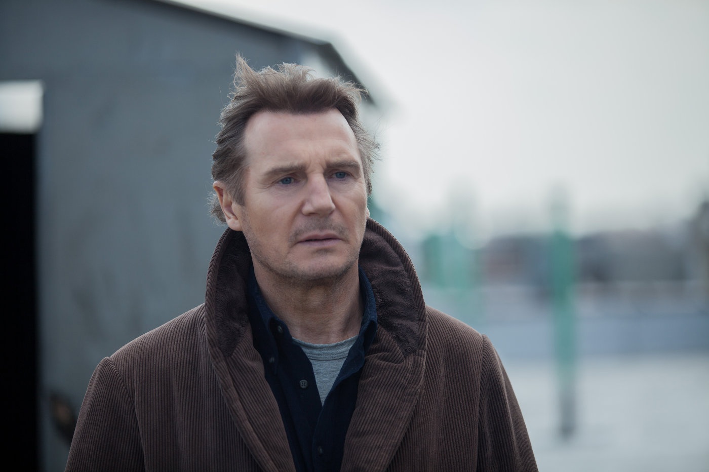 Loi di giua rung bia mo cuon hut nho bao luc va Liam Neeson hinh anh