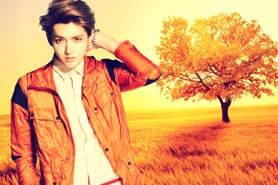 Kris, Luhan (EXO) lot top 10 ung vien Nam than chau A hinh anh